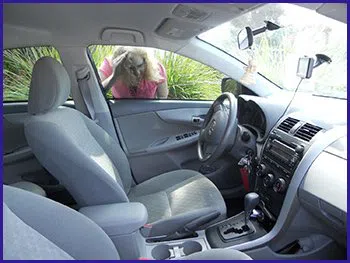 Wayland RI Locksmith Store Wayland, RI 401-859-0447